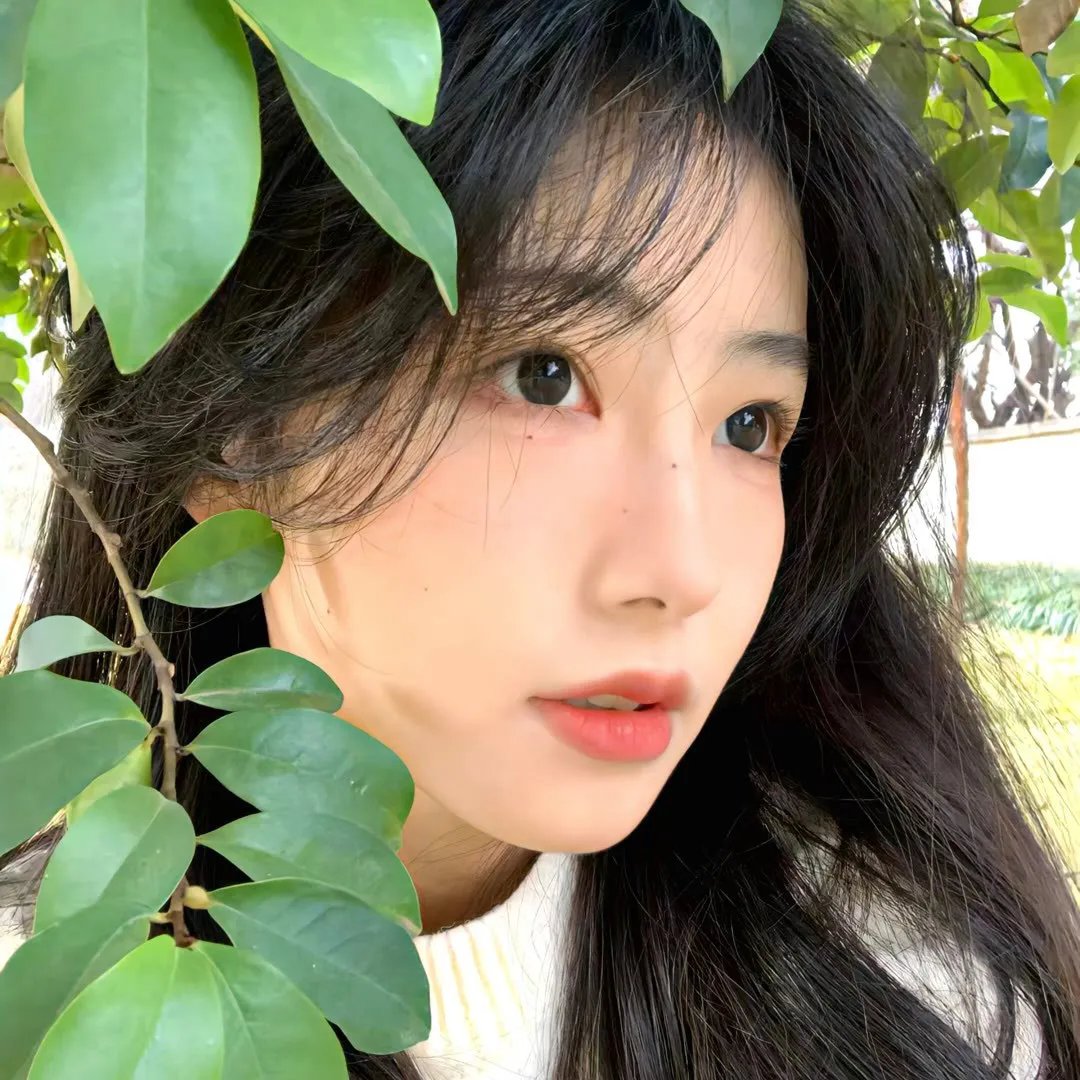 未来的回忆