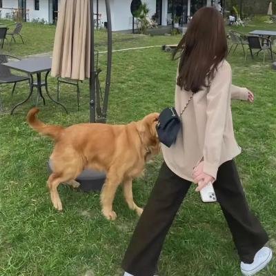 画江湖之不良人第二季